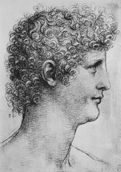 Testa di un giovane di profilo a destra da Leonardo da Vinci