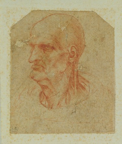 Testa di un vecchio senza barba, profilo sinistro da Leonardo da Vinci