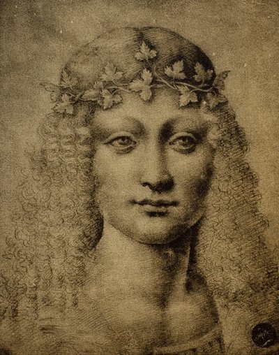 Testa di una ragazza o di un giovane Bacco da Leonardo da Vinci
