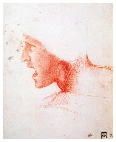 Testa di un uomo che grida di profilo a sinistra, 1503-1504 da Leonardo da Vinci