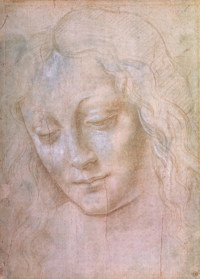 Testa di una donna da Leonardo da Vinci