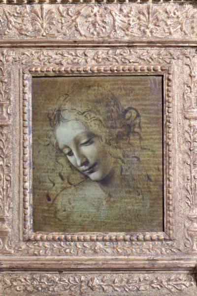 Testa di una donna, chiamata "la scapigliata", c.1492-1501 da Leonardo da Vinci