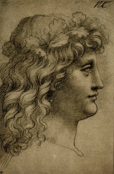 Testa di un giovane uomo da Leonardo da Vinci