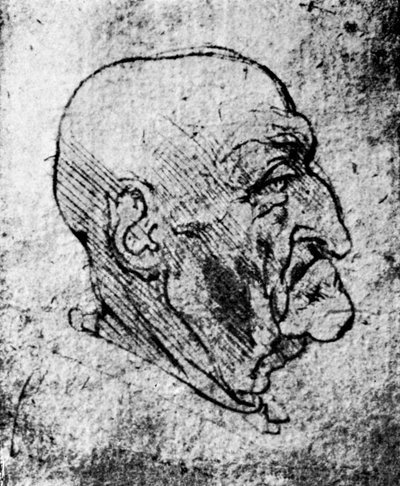 Testa di un vecchio da Leonardo da Vinci