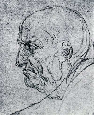Testa di un vecchio, 1913 da Leonardo da Vinci