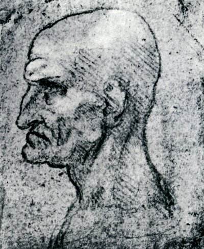 Testa di un vecchio da Leonardo da Vinci