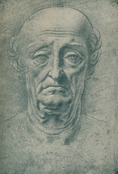 Testa di un vecchio, XV secolo, 1932 da Leonardo da Vinci