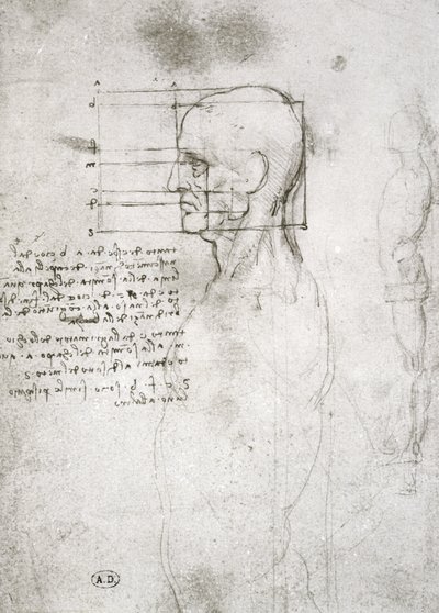 Testa di un Vecchio in Profilo, copia facsimile da Leonardo da Vinci