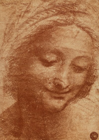 Testa della donna o di Sant