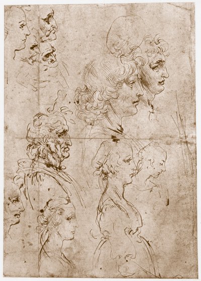 Teste di ragazze, giovani e vecchi uomini, 1478-1480 da Leonardo da Vinci