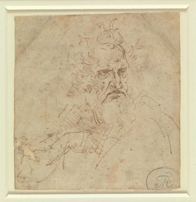 Testa di un anziano dall’aspetto severo con il braccio destro da Leonardo da Vinci
