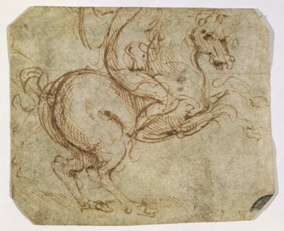 Cavallo e cavaliere da Leonardo da Vinci