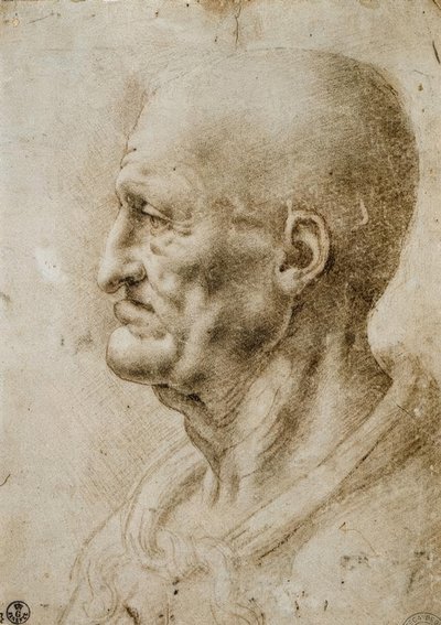 Studio della testa di un vecchio da Leonardo da Vinci