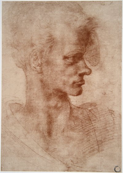 Caricatura di un giovane uomo da Leonardo da Vinci