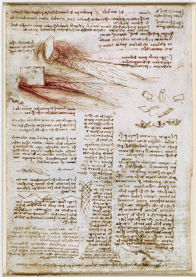 Leonardo da Vinci - RCIN 912660, Studi sull