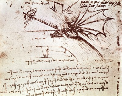 MS B fol.88v Test della tolleranza del carico di un