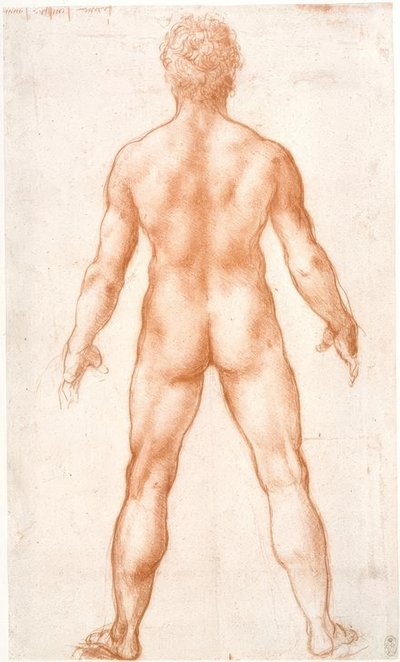 Nudo maschile di schiena da Leonardo da Vinci