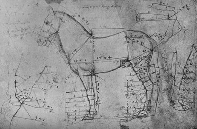 Disegno Misurato di un Cavallo in Profilo a Sinistra, c1480 da Leonardo da Vinci