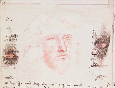Note sui cambiamenti di direzione in volo, pagina manoscritta da Codici Rari III 35.2, fol. 10v da Trattato sul volo degli uccelli, 1505 da Leonardo da Vinci
