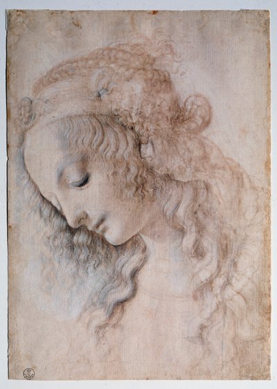 Ritratto di ragazza da Leonardo da Vinci