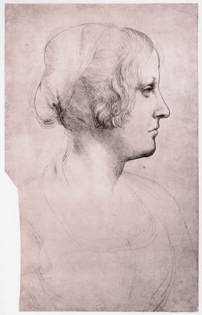 Ritratto di una Ragazza con un Cappello, 1493-1495 da Leonardo da Vinci