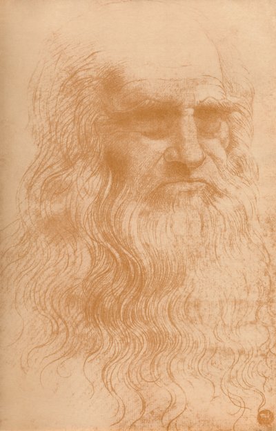 Ritratto di un uomo in gesso rosso, c1512, 1932 da Leonardo da Vinci