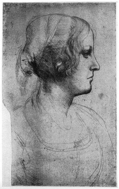 Studio di ritratto della testa di una giovane ragazza, XV secolo 1954 da Leonardo da Vinci