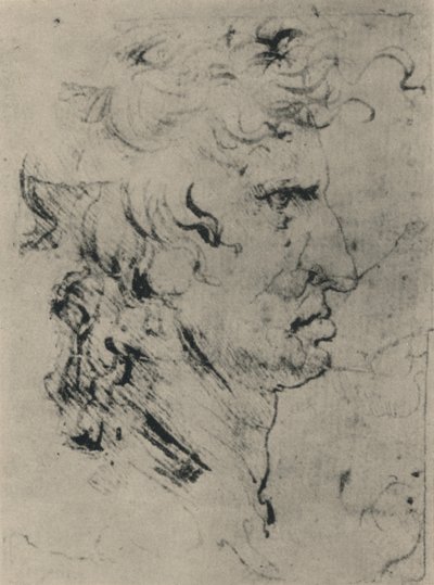 Profilo di un Uomo a Destra, c1480 1945 da Leonardo da Vinci