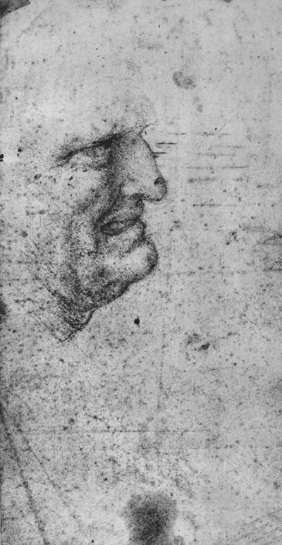 Profilo di un uomo con i denti serrati da Leonardo da Vinci