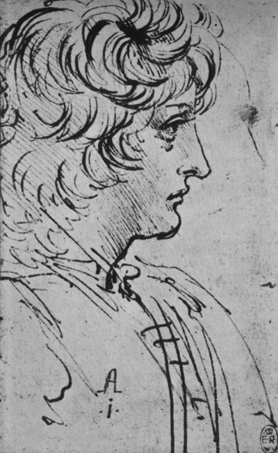 Profilo di un giovane a destra, c1480 1945 da Leonardo da Vinci