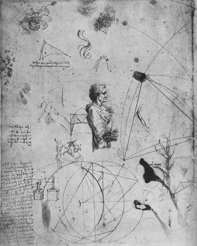 Profilo di un vecchio, piante, figure geometriche, ecc., c1480 da Leonardo da Vinci