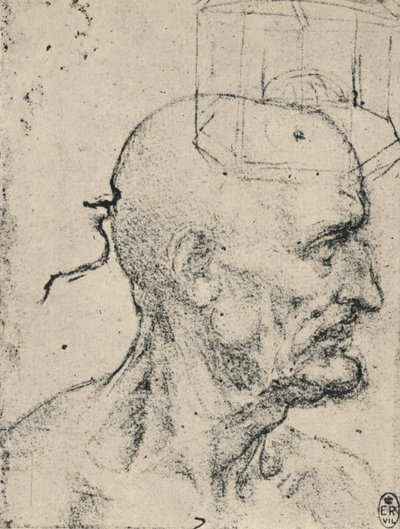 Profilo a destra di un uomo calvo, c1480 1945 da Leonardo da Vinci