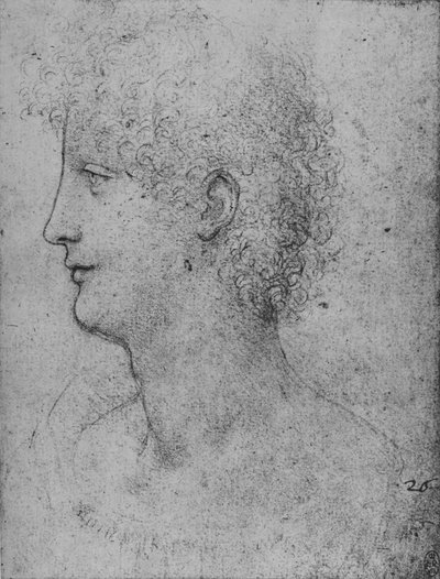 Profilo a sinistra di un giovane riccioluto, c1480 1945 da Leonardo da Vinci