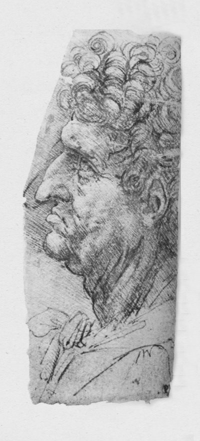 Profilo a sinistra di un uomo anziano con capelli ricci, c1480 da Leonardo da Vinci