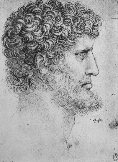 Profilo a Destra di un Uomo Barbuto, c1480 1945 da Leonardo da Vinci