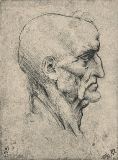 Profilo a destra di un uomo anziano calvo, c. 1480 da Leonardo da Vinci