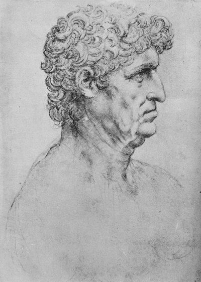 Profilo a destra di un uomo anziano, c1480 1945 da Leonardo da Vinci