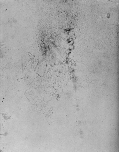 Profilo a destra di un vecchio da Leonardo da Vinci