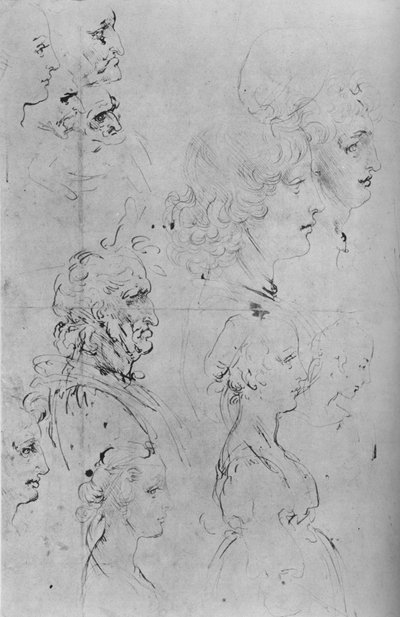 Profili di uomini e mezzo busto di una ragazza, c1490 da Leonardo da Vinci