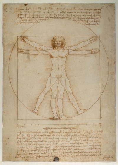Schema delle proporzioni del corpo umano secondo Vitruvio da Leonardo da Vinci