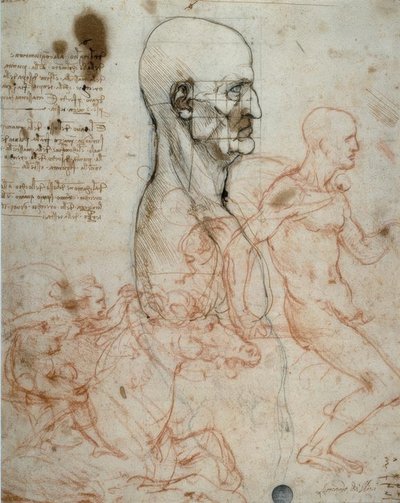 Schema delle proporzioni della testa umana e studi di cavaliere da Leonardo da Vinci