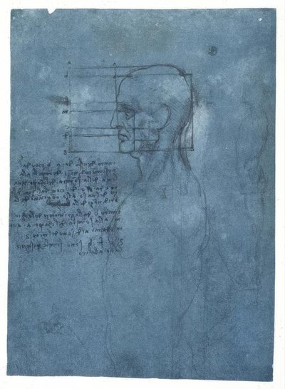 Studio delle proporzioni di una testa maschile di profilo da Leonardo da Vinci