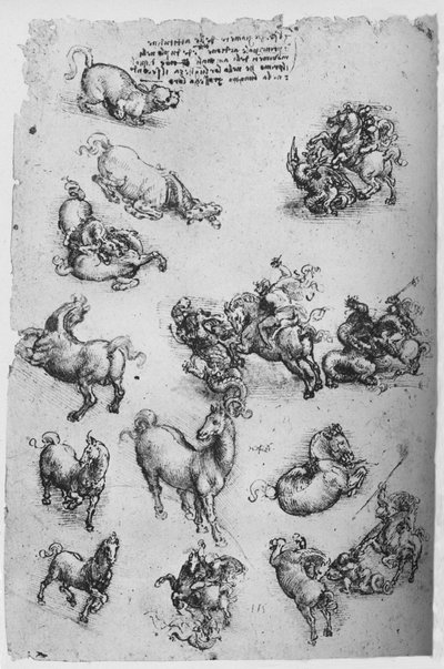 Foglio di studi di cavalli, un gatto e di San Giorgio e il drago, c1480 1945 da Leonardo da Vinci