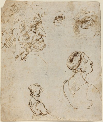 Foglio di studi da Leonardo da Vinci