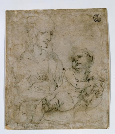 Studio per la Madonna con gatto da Leonardo da Vinci
