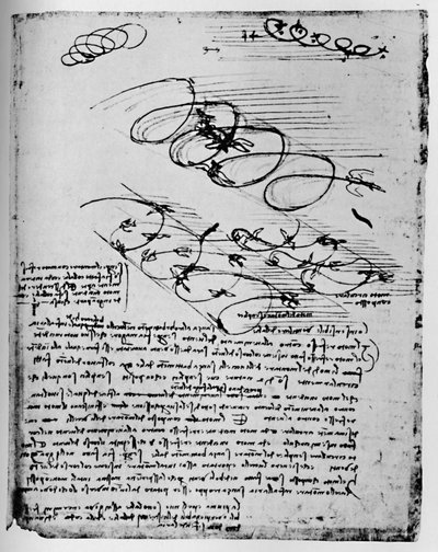 Studi di uccelli in volo quando si alzano e girano, 1928 da Leonardo da Vinci