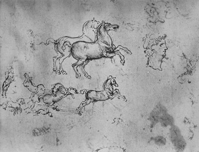 Studi di cavalli al galoppo e una testa, c1480 1945 da Leonardo da Vinci