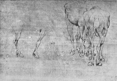 Studi di cavalli al pascolo, c. 1480-1945 da Leonardo da Vinci