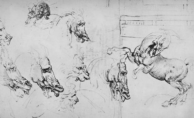 Studi di teste di cavalli e di un cavallo impennato, c1480 1945 da Leonardo da Vinci