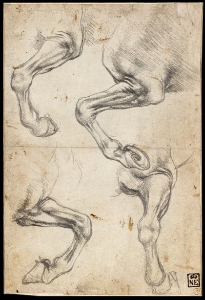 Studi di gambe di cavalli da Leonardo da Vinci
